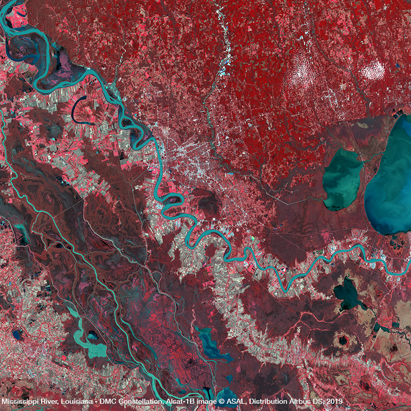 DMC星座卫星图像近红外-美国路易斯安那