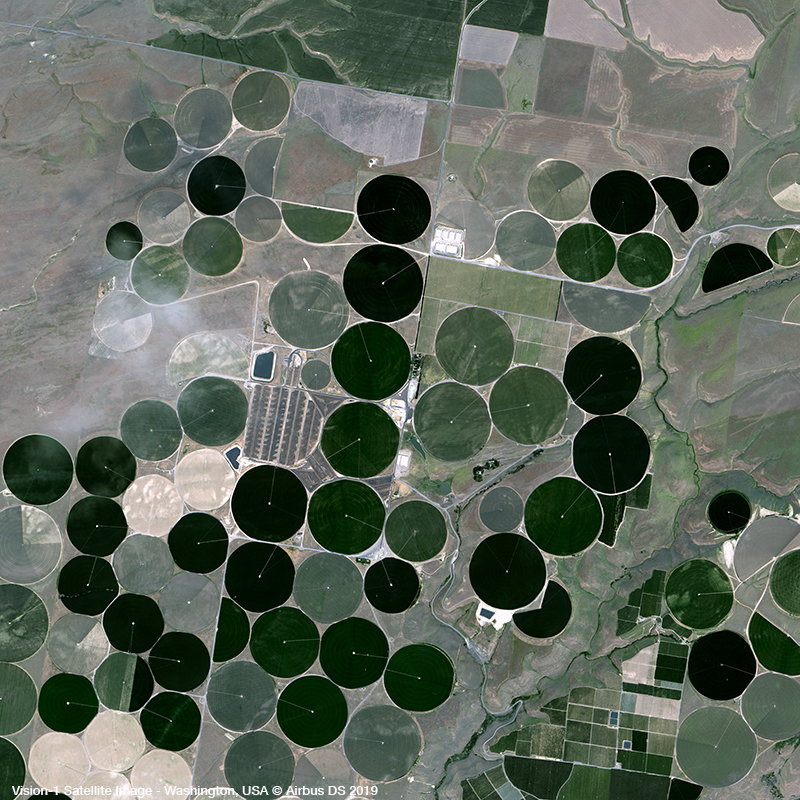 Vision-1卫星图像 -  Benton County的农业田地
