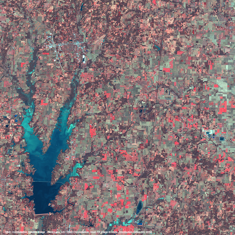 DMC星座卫星图像- Rend湖，美国