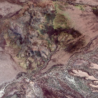 气候变化系列-智利阿塔卡马沙漠开花