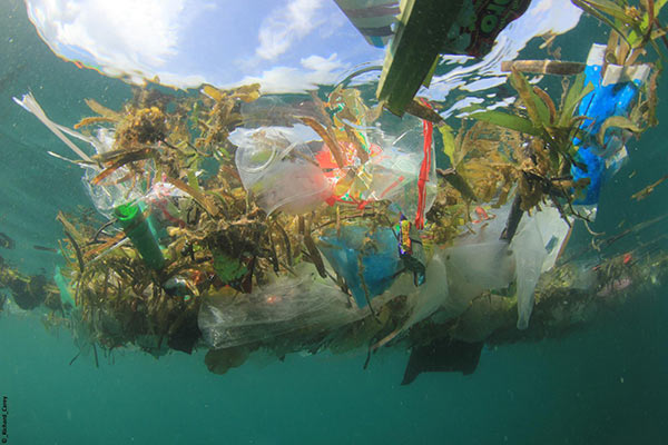 鬼网塑料垃圾漂浮海洋