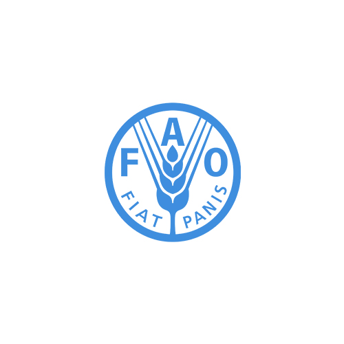 联合国粮农组织的标志