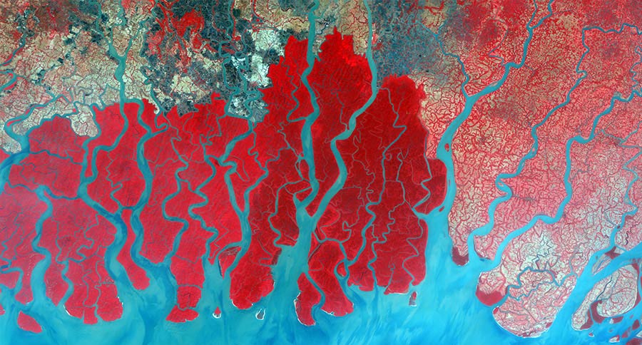 孟加拉国恒河三角洲DMC卫星图像