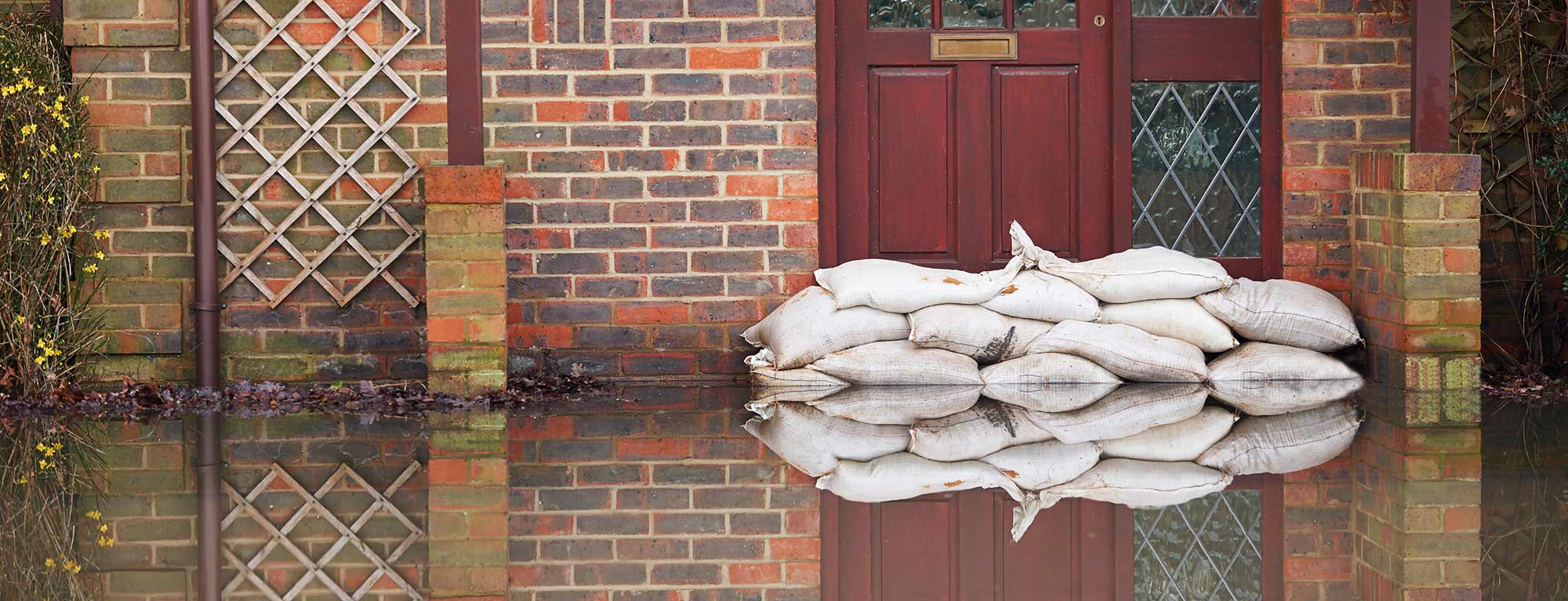 保险市场，洪水肆虐