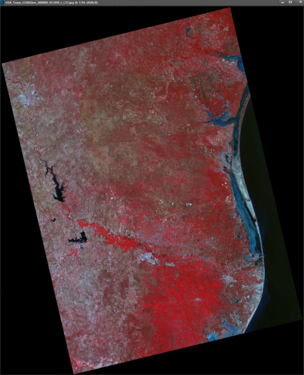 UK-DMC2卫星图像-美国德克萨斯州